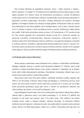 Profesijos rinkimosi veiksniai ir jų įtaka karjerai 6 puslapis