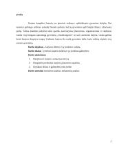 Karjeros planavimas. Referatas 2 puslapis