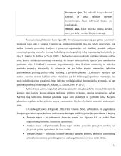 Karjeros planavimas. Referatas 12 puslapis