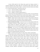 Karjeros planavimas. Referatas 13 puslapis
