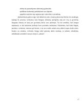Karjeros planavimas. Referatas 17 puslapis