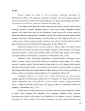 Karjeros planavimas. Referatas 18 puslapis
