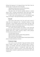 Vadovavimas žmonėms 11 puslapis