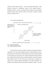 Vadovavimas žmonėms 14 puslapis