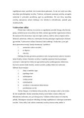 Vadovavimas žmonėms 18 puslapis