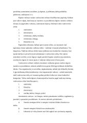 Vadovavimas žmonėms 19 puslapis