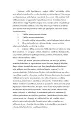 Vadovavimas žmonėms 5 puslapis