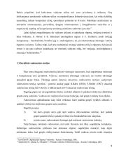 Vadovavimo stiliaus formavimo ypatumai įmonėje 9 puslapis