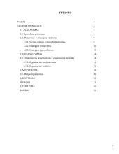 Valdymo funkcijų analizė. Kursinis darbas 2 puslapis