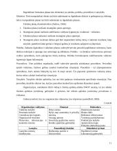 Valdymo funkcijų analizė. Kursinis darbas 11 puslapis