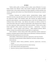 Valdymo funkcijų analizė. Kursinis darbas 3 puslapis