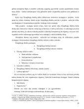 Žmogiškieji ištekliai projektų valdyme  12 puslapis