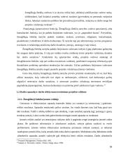 Žmogiškieji ištekliai projektų valdyme  16 puslapis