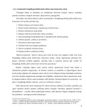 Žmogiškieji ištekliai projektų valdyme  9 puslapis