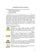 Fleksografinė spauda 6 puslapis