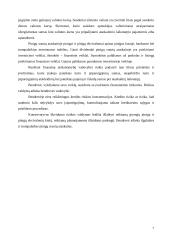 Praktikos ataskaita UAB “Termoizola” 7 puslapis