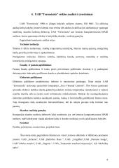 Praktikos ataskaita UAB “Termoizola” 8 puslapis