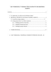 UAB “Termoizola” tiekimo veiklos efektyvumo didinimas 