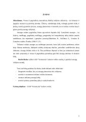 UAB “Termoizola” tiekimo veiklos efektyvumo didinimas  2 puslapis