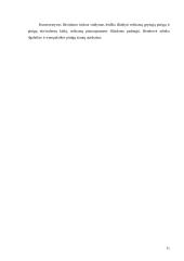 UAB “Termoizola” tiekimo veiklos efektyvumo didinimas  11 puslapis