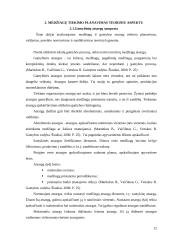 UAB “Termoizola” tiekimo veiklos efektyvumo didinimas  12 puslapis