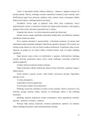 UAB “Termoizola” tiekimo veiklos efektyvumo didinimas  15 puslapis