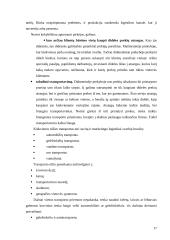 UAB “Termoizola” tiekimo veiklos efektyvumo didinimas  17 puslapis