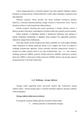 UAB “Termoizola” tiekimo veiklos efektyvumo didinimas  19 puslapis