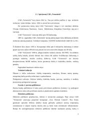 UAB “Termoizola” tiekimo veiklos efektyvumo didinimas  3 puslapis