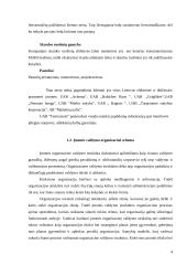 UAB “Termoizola” tiekimo veiklos efektyvumo didinimas  4 puslapis