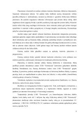 UAB “Termoizola” tiekimo veiklos efektyvumo didinimas  6 puslapis