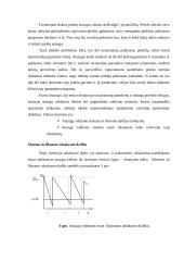 UAB “Termoizola” efektyvaus medžiagų tiekimo veiklos efektyvumo didinimas Iš užsienio  13 puslapis