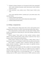 UAB “Termoizola” efektyvaus medžiagų tiekimo veiklos efektyvumo didinimas Iš užsienio  8 puslapis