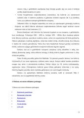 Oro uostų teikiamos paslaugos Lietuvoje  11 puslapis