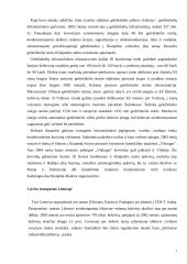 Oro uostų teikiamos paslaugos Lietuvoje  7 puslapis