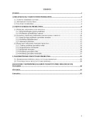 Problemų sprendimas vadovo darbe