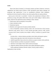 Problemų sprendimas vadovo darbe 2 puslapis