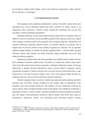 Problemų sprendimas vadovo darbe 17 puslapis