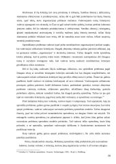 Problemų sprendimas vadovo darbe 20 puslapis