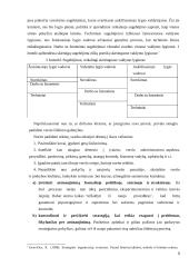 Problemų sprendimas vadovo darbe 5 puslapis