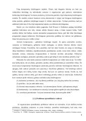 Problemų sprendimas vadovo darbe 9 puslapis