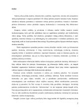 Projektų efektyvumo didinimas statybose  2 puslapis