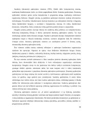 Projektų efektyvumo didinimas statybose  16 puslapis