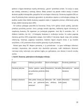 Projektų efektyvumo didinimas statybose  20 puslapis