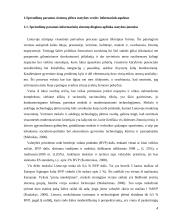 Projektų efektyvumo didinimas statybose  4 puslapis