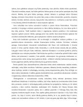 Projektų efektyvumo didinimas statybose  6 puslapis