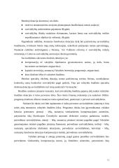 Savivaldos biudžetai  13 puslapis
