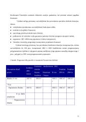 Savivaldos biudžetai  14 puslapis