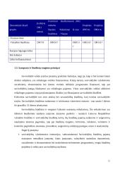 Savivaldos biudžetai  15 puslapis