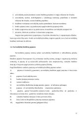 Savivaldos biudžetai  16 puslapis
